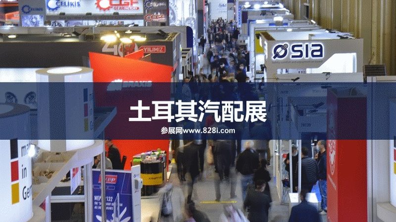 竞技避震器与舒适避震器：性能与舒适度的双面解析
